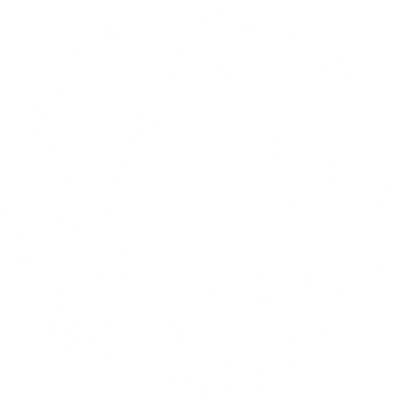 2026 Sunflower White Version DTF (direct-to-film) Transfer