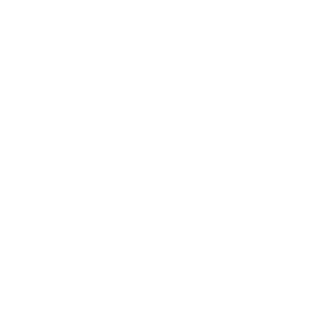 2026 Sunflower White Version DTF (direct-to-film) Transfer