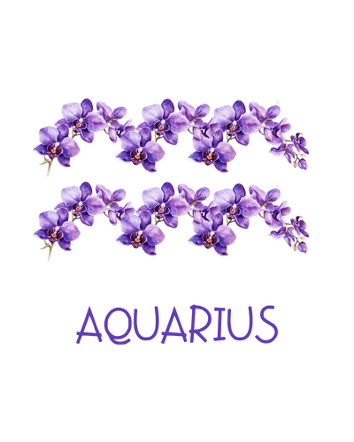 Aquarius Purple Flowers DTF (direct-to-film) Transfer