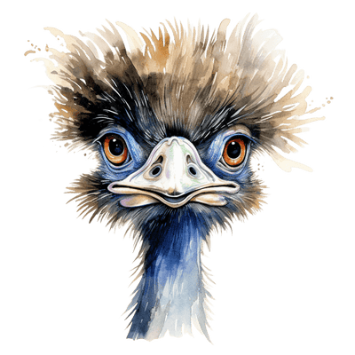 Emu Blue & Brown DTF (direct-to-film) Transfer