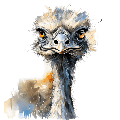 Emu Color Splash DTF (direct-to-film) Transfer