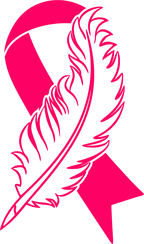 Feather Pink Ribbon2 DTF (direct-to-film) Transfer