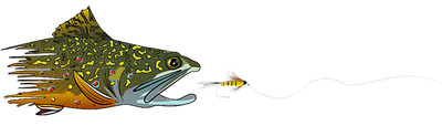 Fish Chasing Bait DTF (direct-to-film) Transfer
