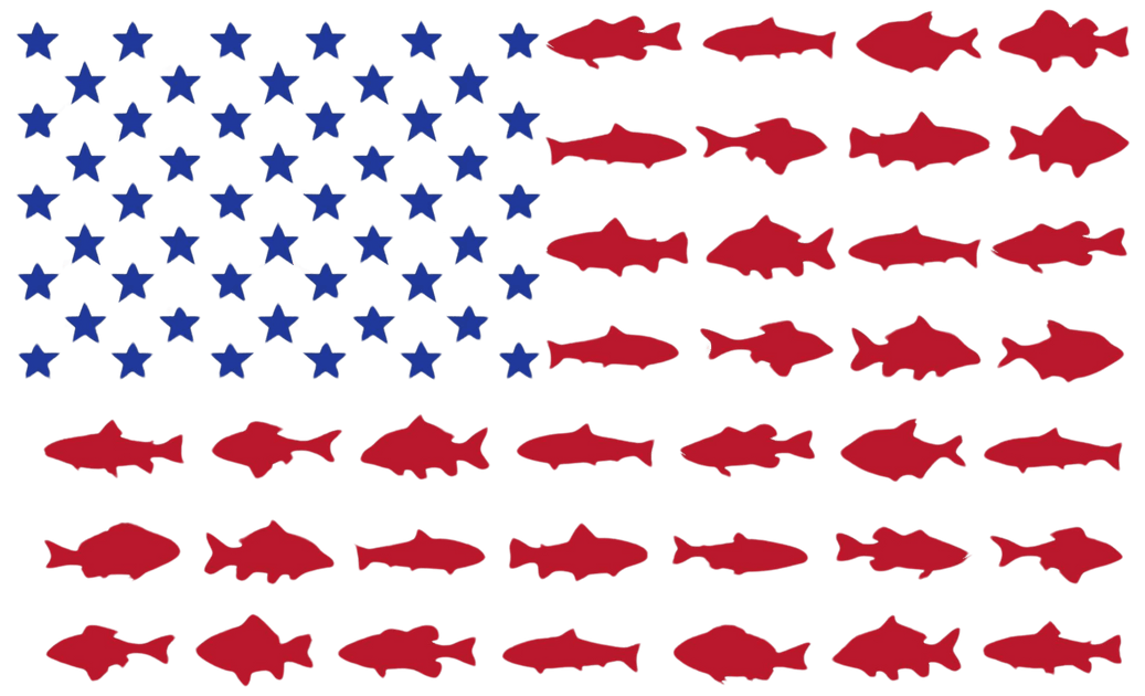 Three Fish Flag Fish Flag DTF (direct-to-film) Transfer – Twisted Image Transfers