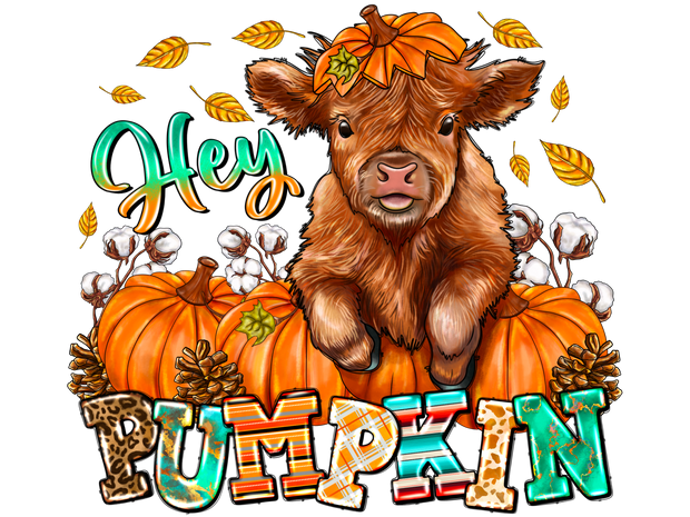 Hey Pumpkin Highland Cow DTF (direct-to-film) Transfer