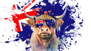 Highland Cow Australia 16oz UV DTF Libby Wrap