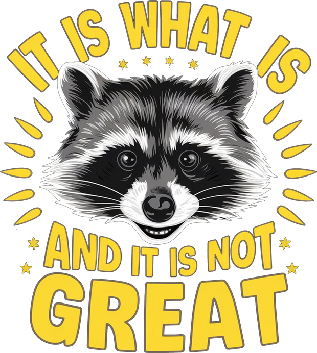 It Is What it is Raccoon in Yellow DTF (direct to film) Transfer