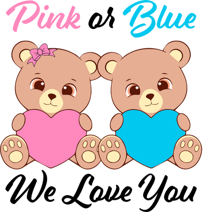 Pink or Blue Teddy Bear Baby Shower DTF (direct-to-film) Transfer