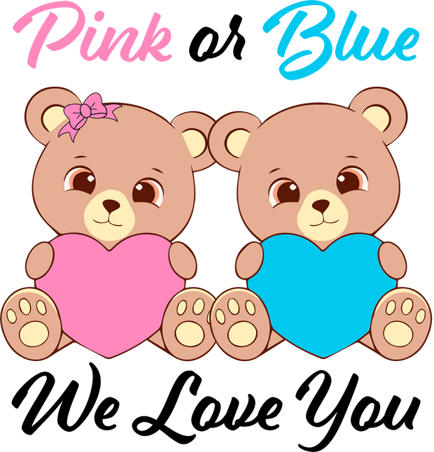 Pink or Blue Teddy Bear Baby Shower DTF (direct-to-film) Transfer