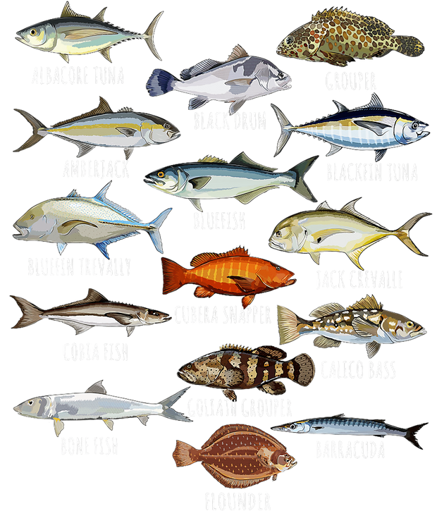 100 Random Fish Rows of Random Fish DTF (direct-to-film) Transfer – Twisted Image Transfers