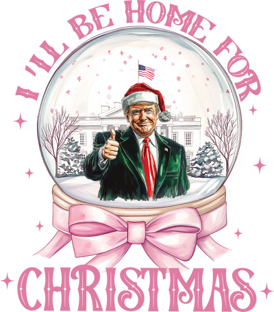 Trump in Snow Globe Home for Christmas DTF (direct-to-film) Transfer