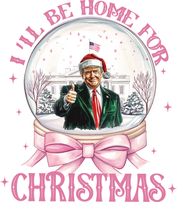 Trump in Snow Globe Home for Christmas DTF (direct-to-film) Transfer