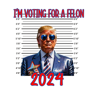 Voting For a Felon Trump 2024 Mug Shot DTF (direct-to-film) Transfer