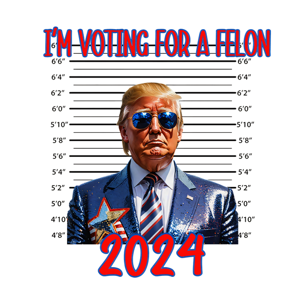 Voting For a Felon Trump 2024 Mug Shot DTF (direct-to-film) Transfer