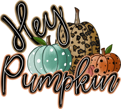 Hey Pumpkin with Leopard Pumpkins Direct to Film DTF Transfer - Twisted Image Transfers