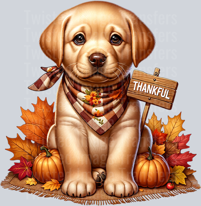 Thankful Pup Sitting