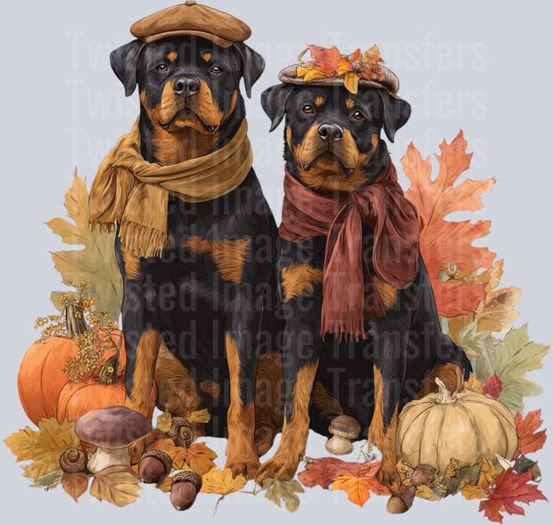 Two Fall Rottweiler