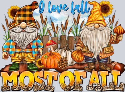 I Love Most of All Gnomes