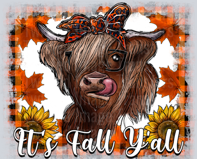 Highland Cow Fall