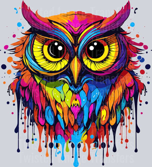 Owl Color Drip