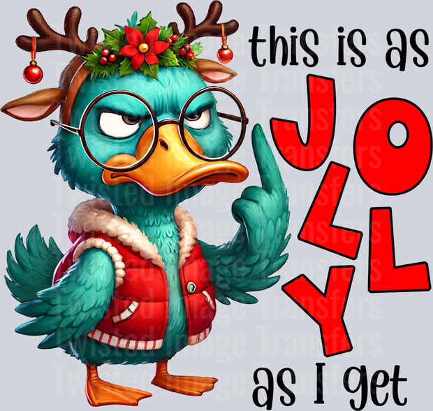 This is as Jolly as I Get Blue Duck