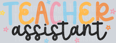 Teacher Assistant_