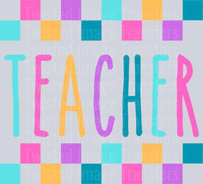 Teacher With Checkered Background