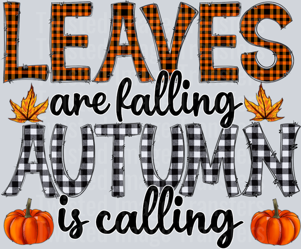 Leaves are Falling