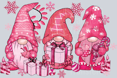 3 Gnomes