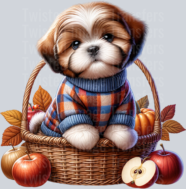 Puppy Wearing Sweater in a Basket