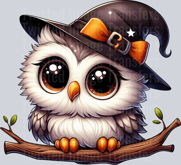 Cute Owl Halloween