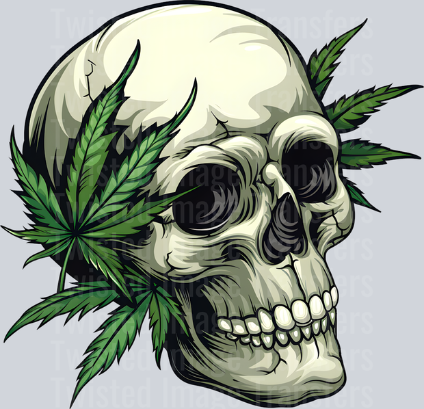 Skull 420 4