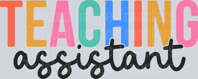 Teaching Assistant