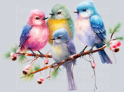 Pastel Birds