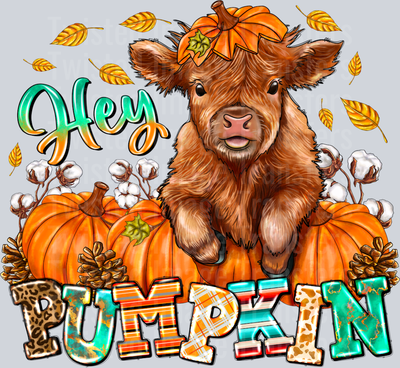 Hey Pumpkin Highland Cow
