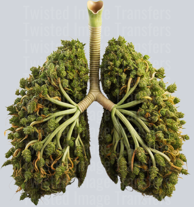 Bud Lung 420 3