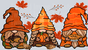 Fall Gnomes