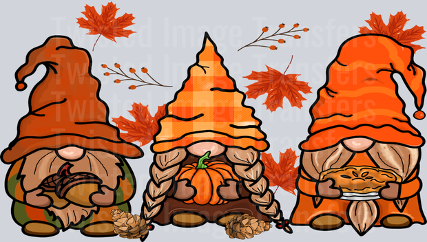 Fall Gnomes