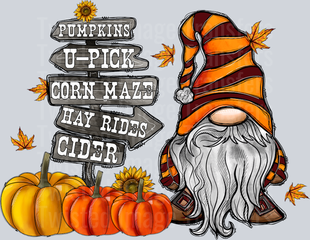 Corn Maze Cider