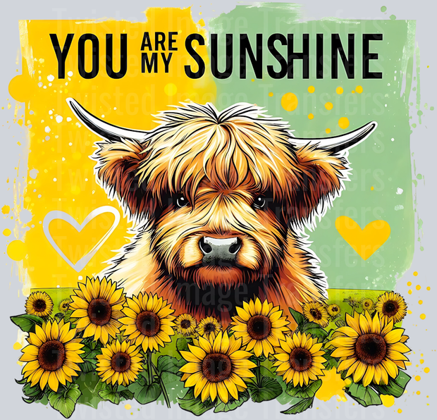 You are my Sunshine Highland Cow