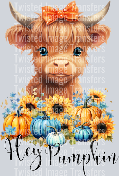 Cute Highland Cow Hey Pumpkin