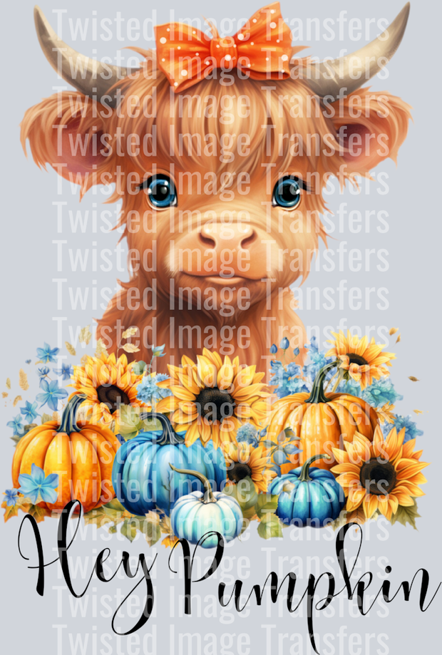 Cute Highland Cow Hey Pumpkin