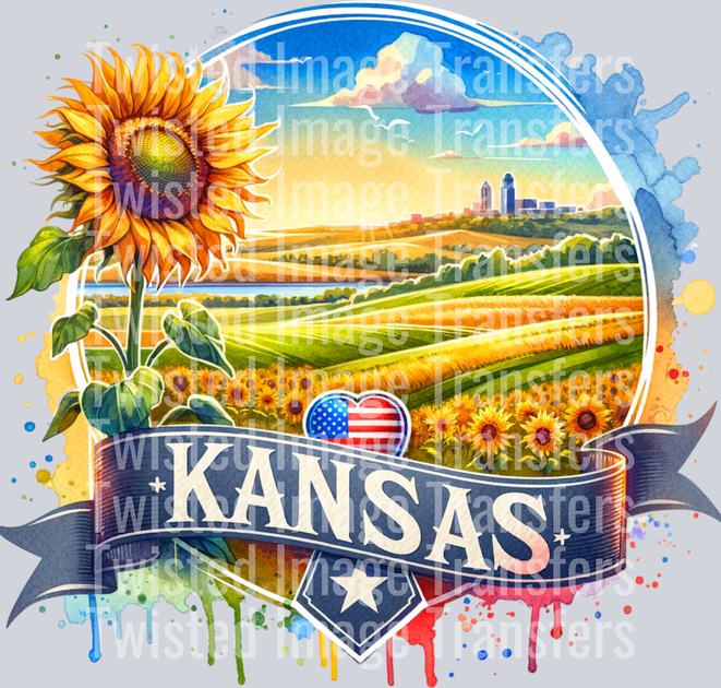 1 STATES DESIGNS – Page 4 – Twisted Image Transfers