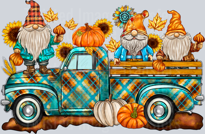 Gnomes and Truck