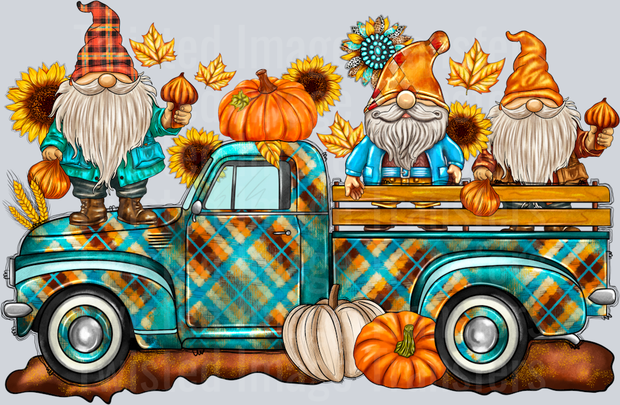Gnomes and Truck