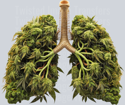 Bud Lung 420 1