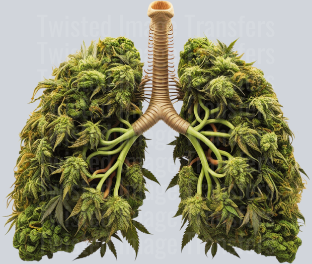 Bud Lung 420 1