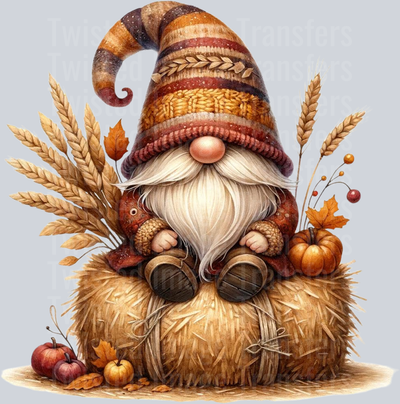 Festive Gnome 45 Fall_Thanksgiving