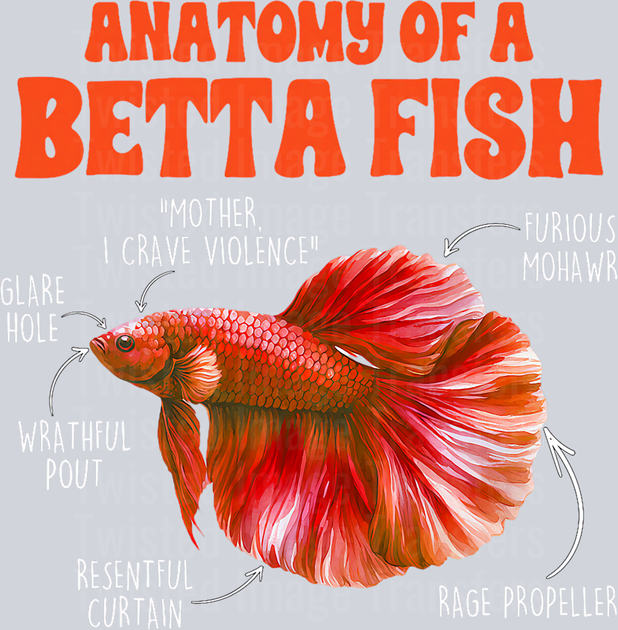 Anatomy of a Betta Fish DTF (direct-to-film) Transfer – Twisted Image ...