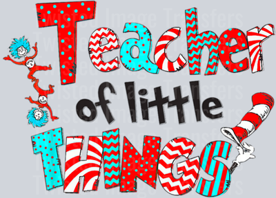 Teacher of little things